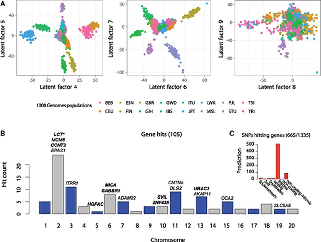 Human GEA with LFMM2. 1000Genomes genetic variants associated with climate data from WorldClim. Many GEA hits overlap known causal genes underlying functional variation in traits. From Caye *et al.*, 2019